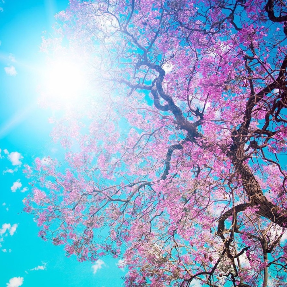 Meet your Posher, Ana